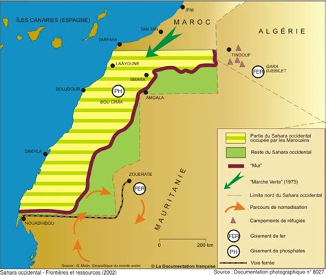 Árbol Socialdemócrata Sáhara Occidental Una Lección De Política Y