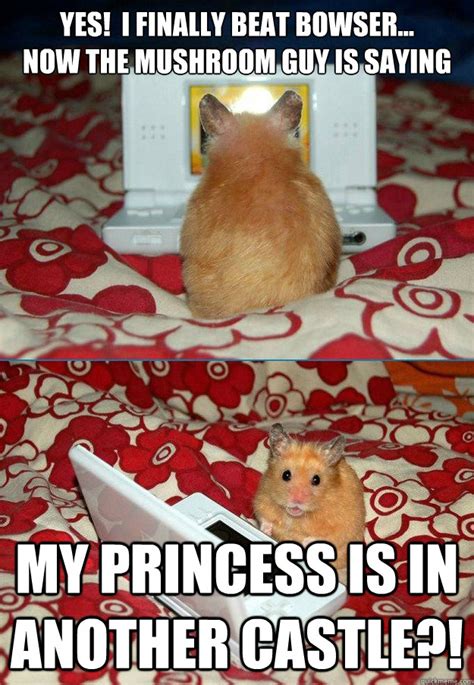 First Day Of Gaming Hamster Memes Quickmeme