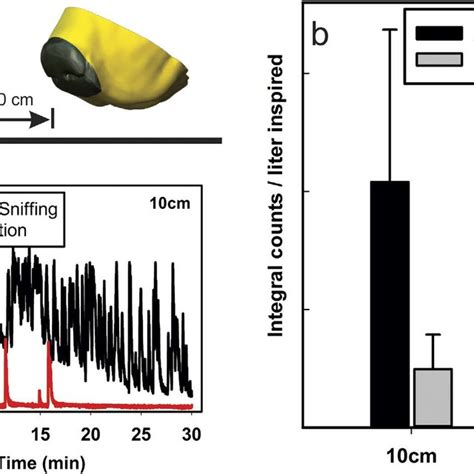 Aerodynamic Sampling Efficiency Of The 3d Printed Dogs Nose During