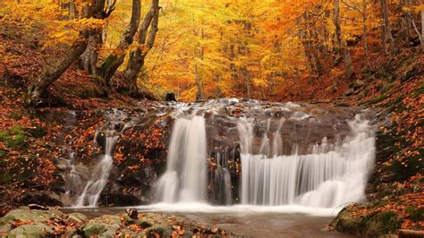 Free Hd Fall Wallpapers Make Your Screen Shine Brighter