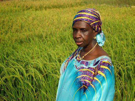 AfricaRice News blog: AfricaRice pays tribute to African women rice ...