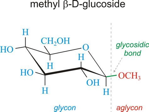 Structure Of Glycosidic Bond