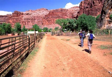 Hikers Enter Supai Village Or Havasupai Village In The Grand Canyon