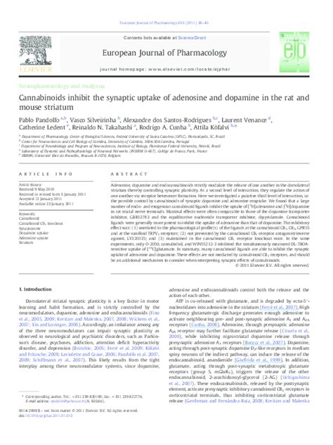 Mario pergolini compartió una foto de pandolfo en su instagram y lo despidió: (PDF) Cannabinoids inhibit the synaptic uptake of ...