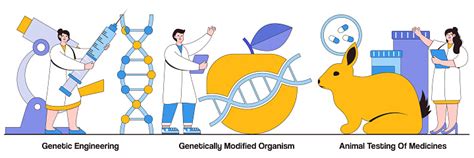 Ilustración De Ingeniería Genética Organismos Modificados Genéticamente