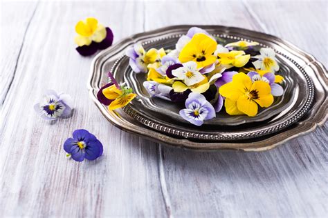 Check spelling or type a new query. Exploring Edible Flowers - Wild Harvest