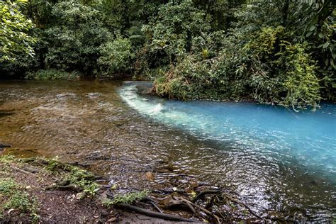 Visitar Río Celeste Costa Rica Cualquier Destino