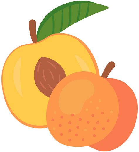 Peach Stock Illustration Download Image Now Peach Georgia Clip