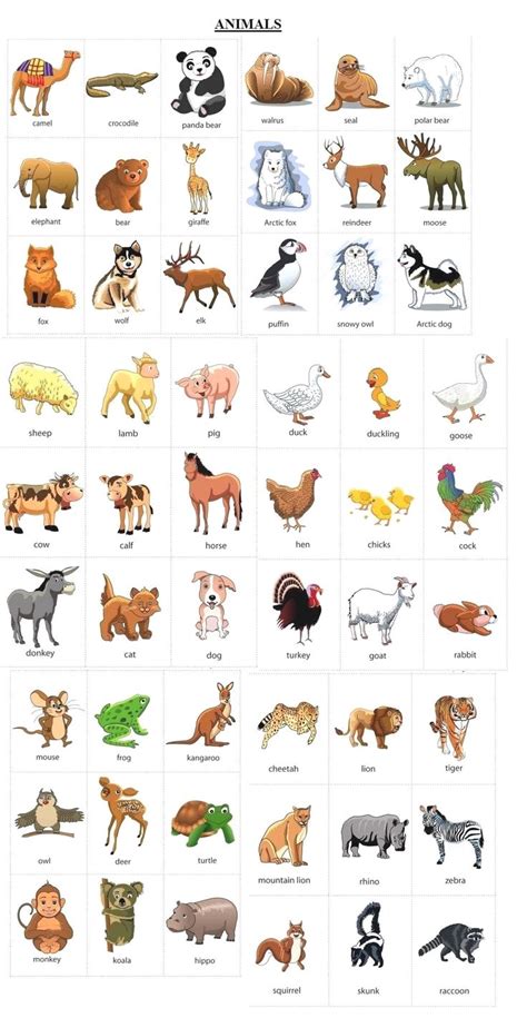 Cool Herbivore Animals Name List