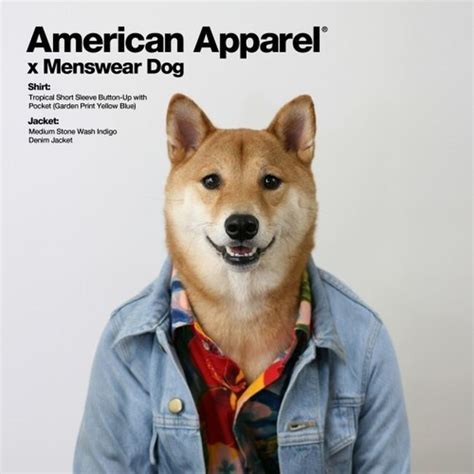 Meet The Worlds First Menswear Dog Model Bodhi Photos Fashion