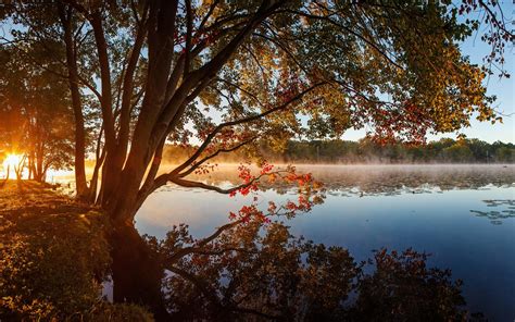 Wallpaper Trees Lake Fog Morning Sunshine 1920x1200 Hd Picture Image