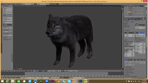 My First Animal In Blender Old Wolf Finished Projects Blender
