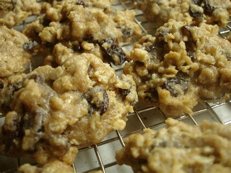 Browse thousands of free cookie recipes that are sure to please young and old alike. Top 24 High Fiber Oatmeal Cookies - Best Round Up Recipe ...