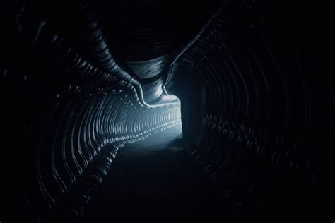 Do you like this video? CONFIRMED: New Photo Reveals That ALIEN: COVENANT Will ...