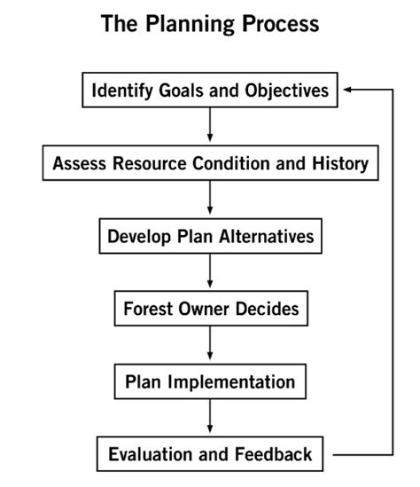 Fundamentals Of Forest Resource Management Planning Land