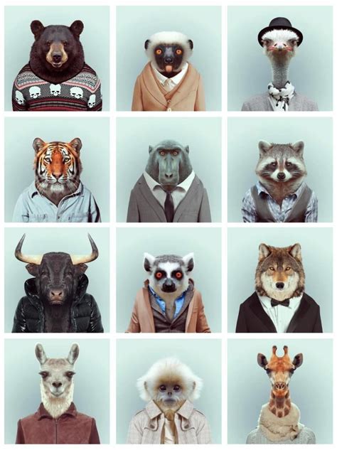 Photography By Yago Partal Animal Art Pet Portraits Art Inspiration