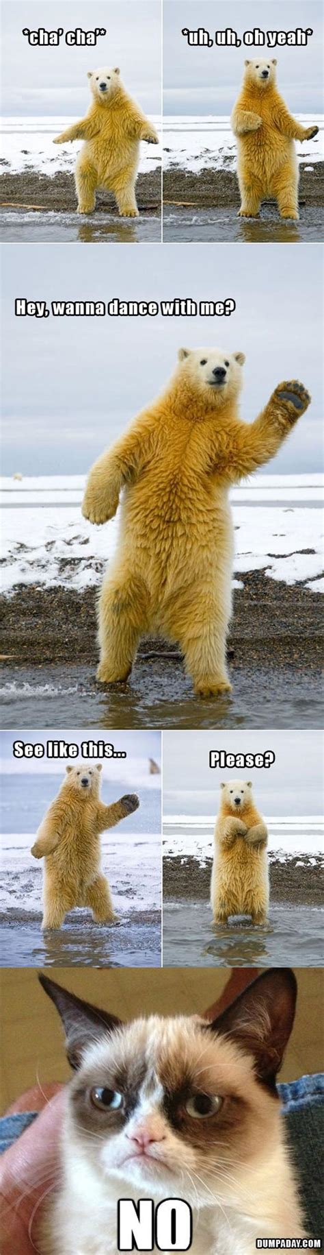 Grumpy Cat Dancing With Polar Bear Funny Pictures Dump A Day