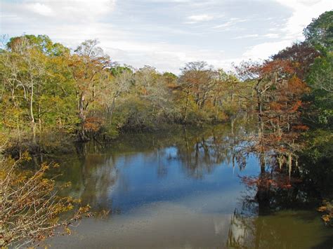 Seeks Its 2015 The Florida Trail Journal Pine Log State