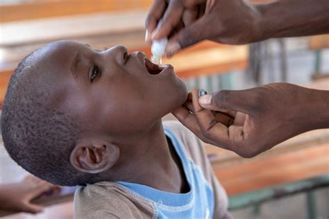 Combating Cholera In Mozambique Who Regional Office For Africa