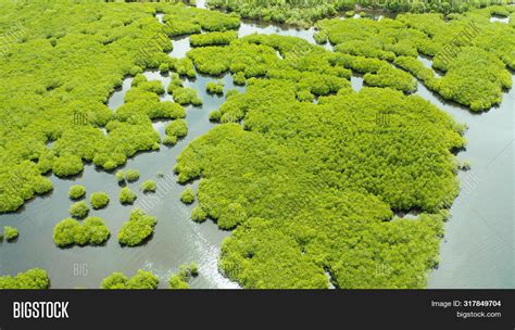 Aerial View Rivers Image And Photo Free Trial Bigstock