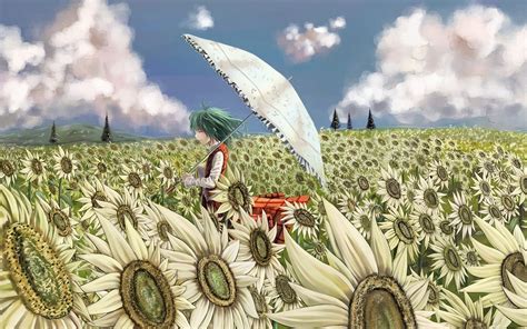 Field Sunflowers Girl Umbrella Anime Art 6964627