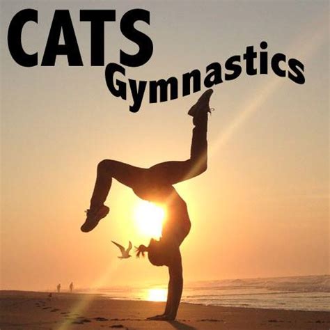 Cats Gymnastics
