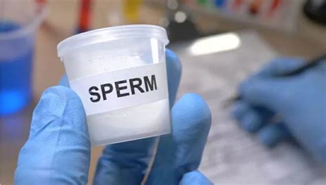 Sperm Donors For Same Sex Couples What Are Your Rights