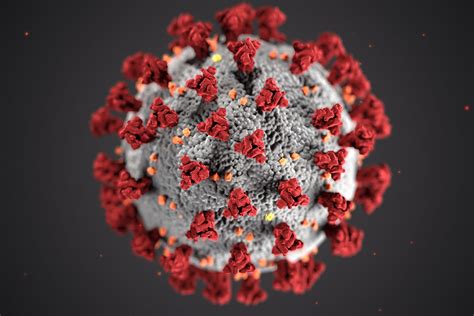 What you need to know about adoption. What is COVID-19 and how is it spread?