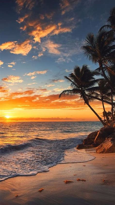 Paradise Beach Landscape Sunset Tropical Hd Phone Wallpaper Peakpx