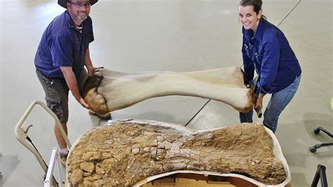 Paleontologists Unearth One Of The Largest New Species Of Dinosaur In
