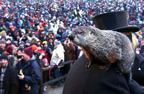Why Did the Groundhog See His Shadow?