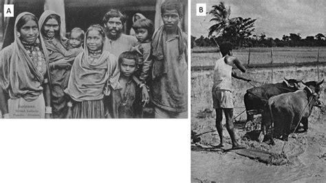 a first generation of indian indentured laborers in suriname c 1900 download scientific