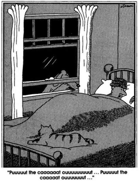 13 The Far Side Comic Strips Featuring Cats Far Side Comics The