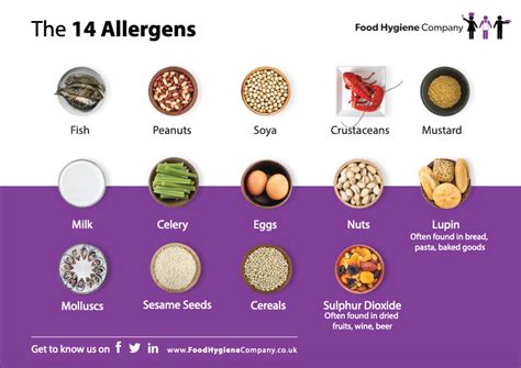 The Clearest Food Allergy Notice In The Food Intolerance Range Print 2
