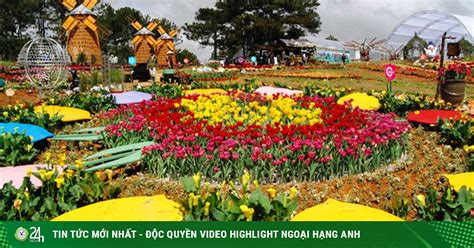 Trong số đó, mực khô là đặc sản nổi tiếng của người dân quảng bình. Có gì đặc sắc ở lễ hội hoa "kỷ lục" hơn 120 triệu Euro tại ...