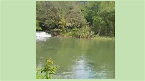 NATURE LOVER - YouTube