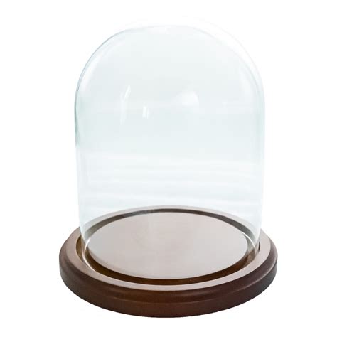 Wooden Base Glass Dome 3 X 4 Inches