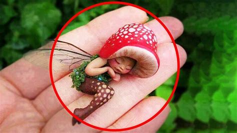 Top 5 The Most Unusual Cases In Real Life Little Fairies Exist Youtube