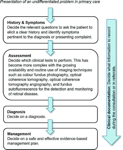 The Various Stages Of Primary Care Clinical Decision Making Download