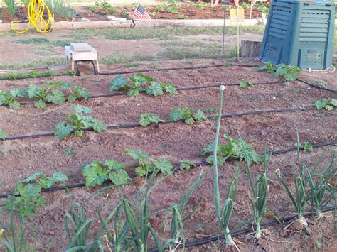 Qvc Credit Card Synchrony Bank Sign In 6