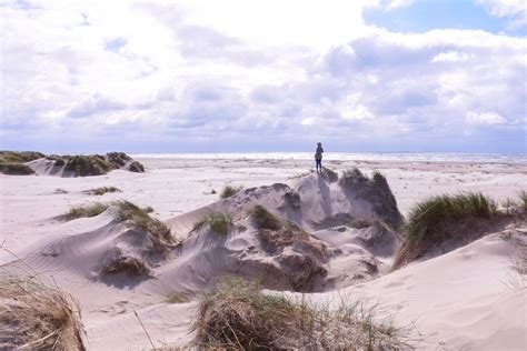 Danish Sand Dune Beaches Sand Dunes Beach Sand