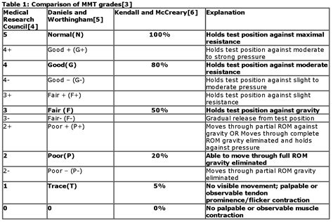 Manual Muscle Testing Principles Explained Occupational