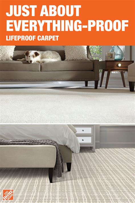 There are 4 optimal flooring options for pets plus 3 that aren't so good. Find the stain-proof and pet-proof carpet you've been ...