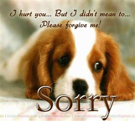 Enjoy reading and share 62 famous quotes about god please forgive me with everyone. Please Forgive Me I Am Sorry | Apologizing quotes ...