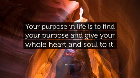 Buddha Quote Your Purpose In Life Is To Find Your Purpose And Give