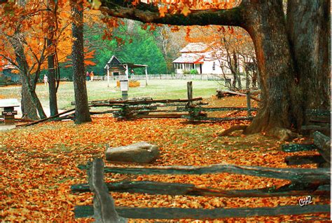 Autumn In Cades Cove Painting By Chaz Daugherty Fine Art America