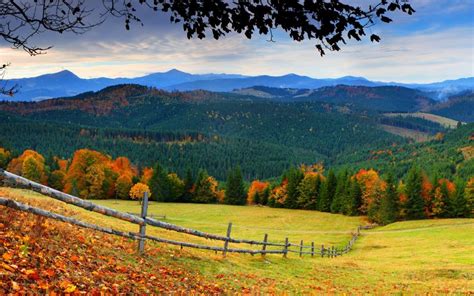Forest Trees Mountains Grass Leaves Fence Autumn Wallpaper