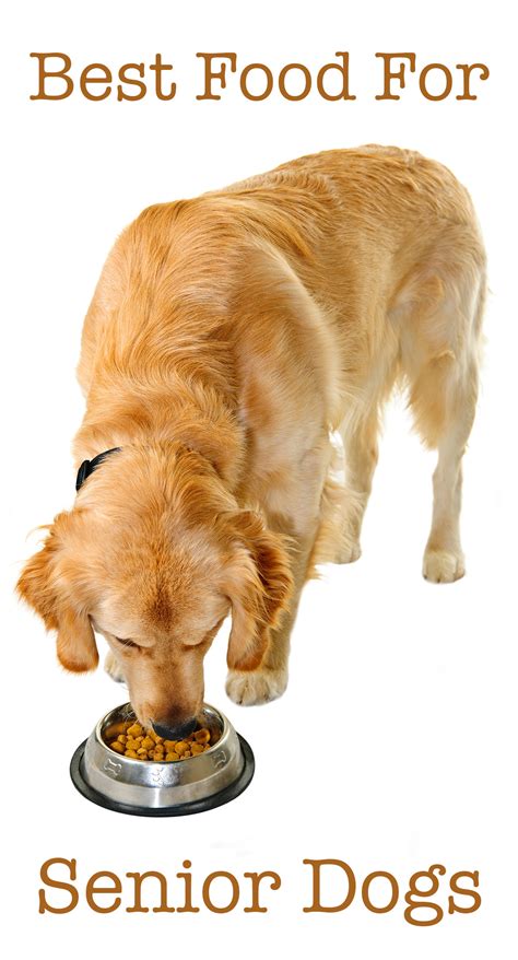 The Best Senior Dog Food The Right Wet And Dry Options