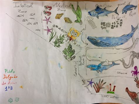 1ºesos Posters About Marine Ecosystems Ies Miguel Servet Bilingual