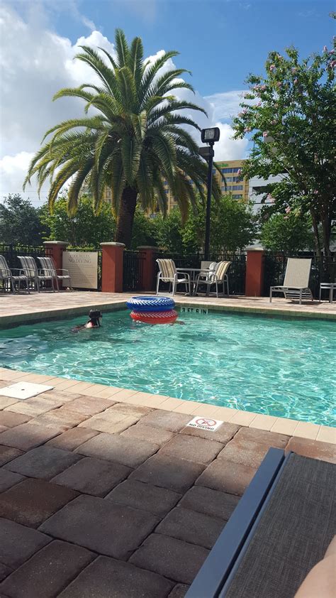 Springhill Suites By Marriott Tampa Westshore Airport Pool Pictures